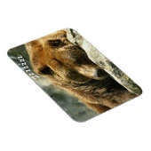 Magnet Flexible Ours ronflant (Côté Droit)