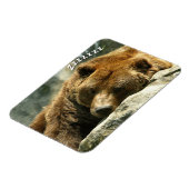 Magnet Flexible Ours ronflant (Côté Gauche)