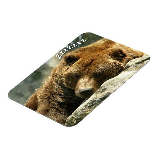 Magnet Flexible Ours ronflant (Côté Gauche)