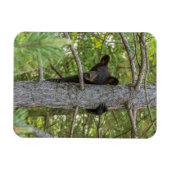 Magnet Flexible Ourson grimpe à un arbre (Horizontal)
