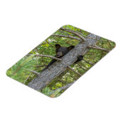 Magnet Flexible Ourson grimpe à un arbre (Côté Gauche)
