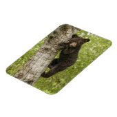 Magnet Flexible Ourson noir dans un arbre (Côté Gauche)