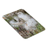 Magnet Flexible Ouvrir les pots d'algues | Graines avec soie | Fle (Côté Droit)