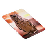 Magnet Flexible Owl Experience Somerset (Côté Droit)