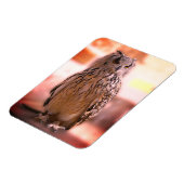 Magnet Flexible Owl Experience Somerset (Côté Gauche)