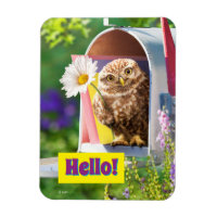 Owl With Flower In Mailbox