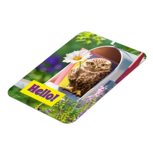 Magnet Flexible Owl With Flower In Mailbox (Côté Gauche)