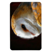 MAGNET FLEXIBLE OWLS (Vertical)