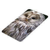 MAGNET FLEXIBLE OWLS (Côté Gauche)