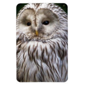 MAGNET FLEXIBLE OWLS (Vertical)