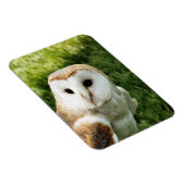 MAGNET FLEXIBLE OWLS (Côté Droit)