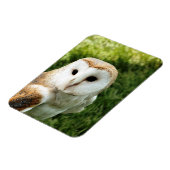 MAGNET FLEXIBLE OWLS (Côté Gauche)