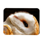 MAGNET FLEXIBLE OWLS (Horizontal)