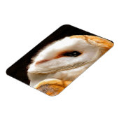 MAGNET FLEXIBLE OWLS (Côté Gauche)