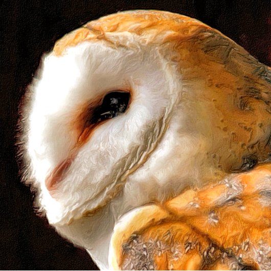 MAGNET FLEXIBLE OWLS