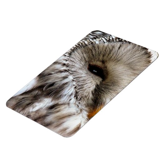 MAGNET FLEXIBLE OWLS (Côté Gauche)