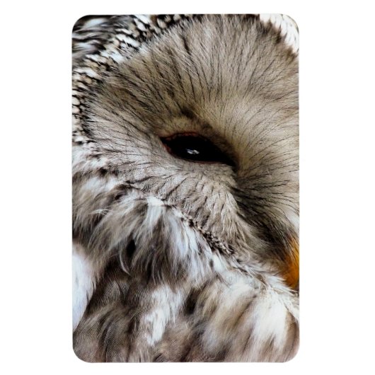 MAGNET FLEXIBLE OWLS (Vertical)