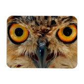 Magnet Flexible Owls Eyes (Horizontal)