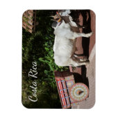 Magnet Flexible Oxcart du Costa Rica (Vertical)