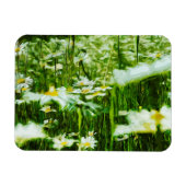 Magnet Flexible Oxeye Daisy Impressionnisme Abstrait (Horizontal)