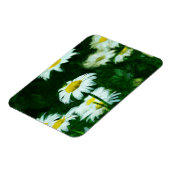 Magnet Flexible Oxeye White Daisies Impressionnisme Abstrait (Côté Gauche)