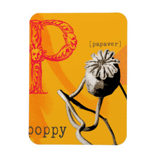 Magnet Flexible P est pour le pavot