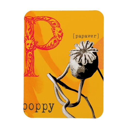 Magnet Flexible P est pour le pavot (Vertical)