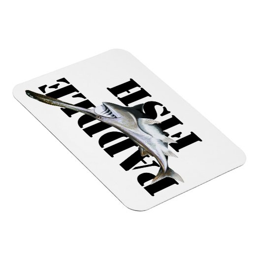 Magnet Flexible Paddle (Côté Droit)