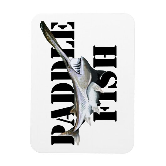 Magnet Flexible Paddle (Vertical)