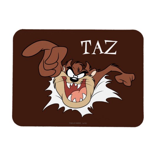 Magnet Flexible Page de gravure de TAZ™ (Horizontal)