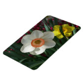 Magnet Flexible Pair of Daffodils Pink and Yellow Spring Flowers (Côté Gauche)