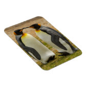 Magnet Flexible Pair of King Penguins (Côté Droit)