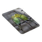 Magnet Flexible Paire astucieuse de potes (Côté Droit)