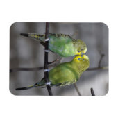 Magnet Flexible Paire astucieuse de potes (Horizontal)