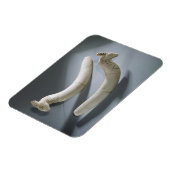 Magnet Flexible Paire de castagnettes, période thinite (hippopotam (Côté Gauche)