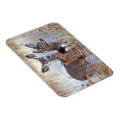 Magnet Flexible Paire de cerfs de Mule sauvage | Californie (Côté Droit)