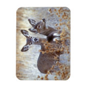 Magnet Flexible Paire de cerfs de Mule sauvage | Californie (Vertical)