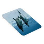 Magnet Flexible Paire de dauphins (Côté Droit)