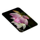 Magnet Flexible Paire de fleurs de Lotus II (Côté Droit)