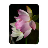 Magnet Flexible Paire de fleurs de Lotus II (Vertical)