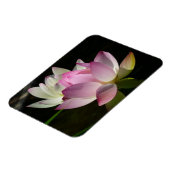 Magnet Flexible Paire de fleurs de Lotus II (Côté Gauche)
