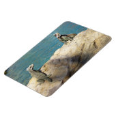 Magnet Flexible Paire de Iguanas Photographie de la faune tropical (Côté Gauche)