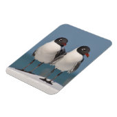 Magnet Flexible Paire de Mouettes à tête noire (Côté Gauche)