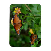 Magnet Flexible Paire de papillons royaux (Vertical)