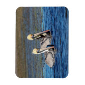 Magnet Flexible Paire de pélicans (Vertical)