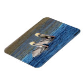 Magnet Flexible Paire de pélicans (Côté Gauche)