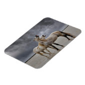 Magnet Flexible Paire de Stallions de Cheval de Camargue, Sud de l (Côté Gauche)