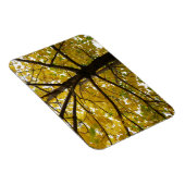 Magnet Flexible Paire d'érables jaunes Nature d'automne (Côté Droit)