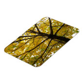 Magnet Flexible Paire d'érables jaunes Nature d'automne (Côté Gauche)