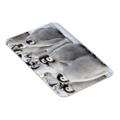 Magnet Flexible Pal de pingouin (Côté Droit)